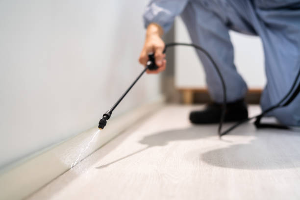 Licensed Pest Control service in Pinewood Estates, TX - Show Me Pest Control